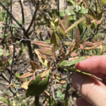Bonus Photo